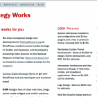 Netmix Media launches Digital Strategy Works