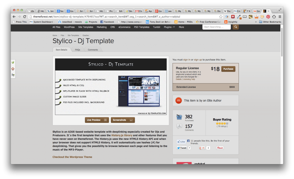 Stylico WordPress Template Screen shot at Themeforest