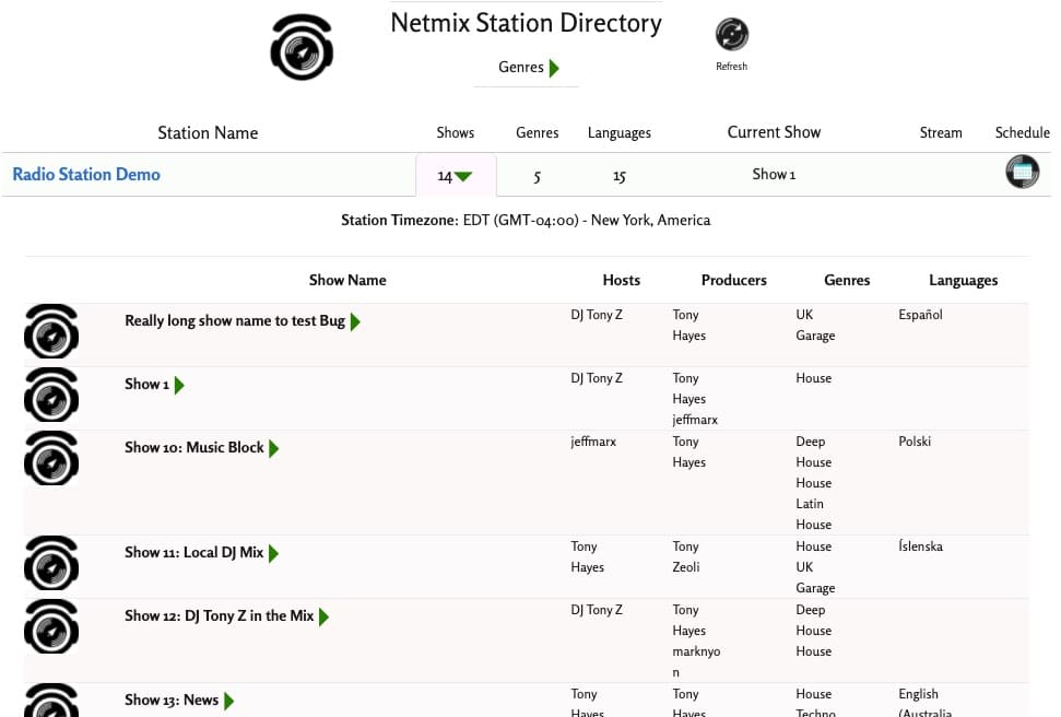 Partial Screenshot of Netmix Directory View for Netmix home page promotion
